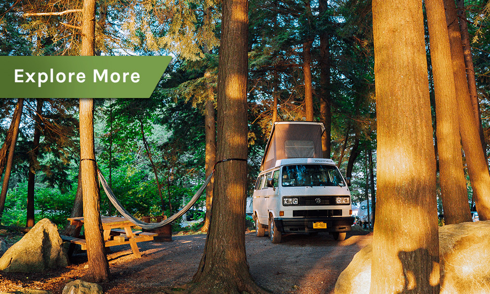 An RV camper beneath pine trees next to a hammock and picnic table.