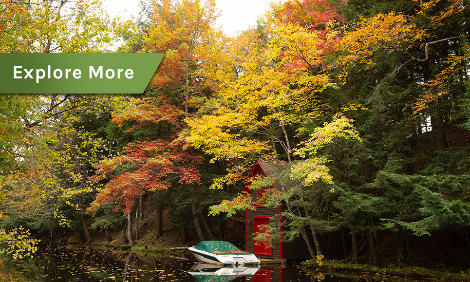 Yellow and red leaves in the trees above a brown boathouse.